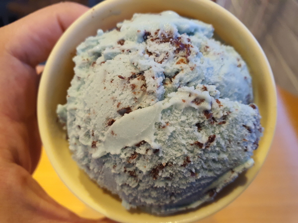 베스킨라빈스31 (Lessly Edition) 민트 초콜릿 칩 아이스크림