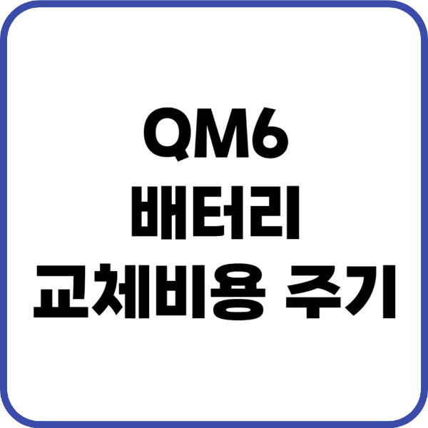 QM6 배터리