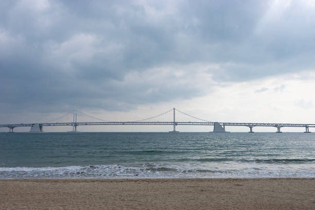 부산 광안리 해수욕장 개장 및 편의시설 정보
