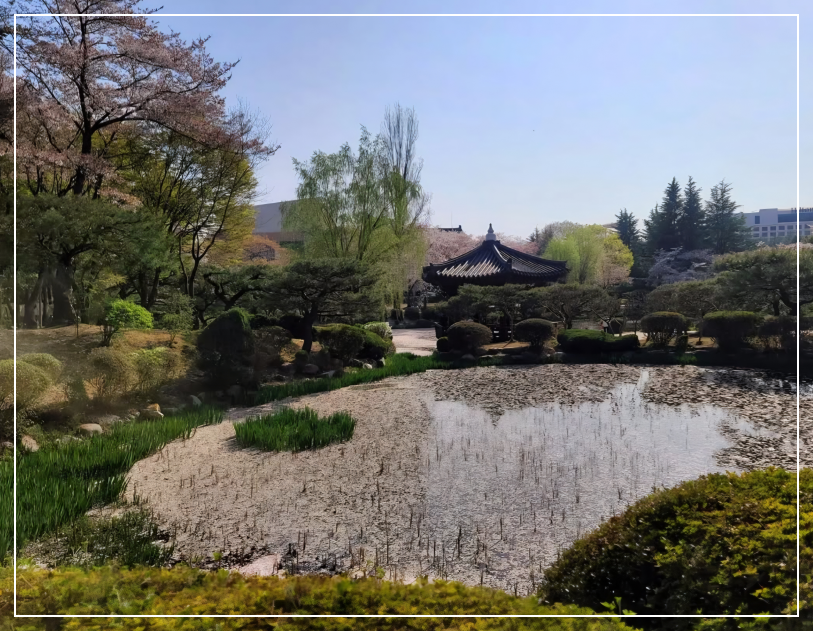 경주 보문정