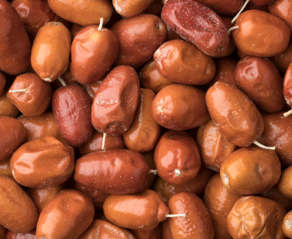 보리수효능 성질 먹는방법 임산부 기관지 기침 당뇨 부작용 총정리2