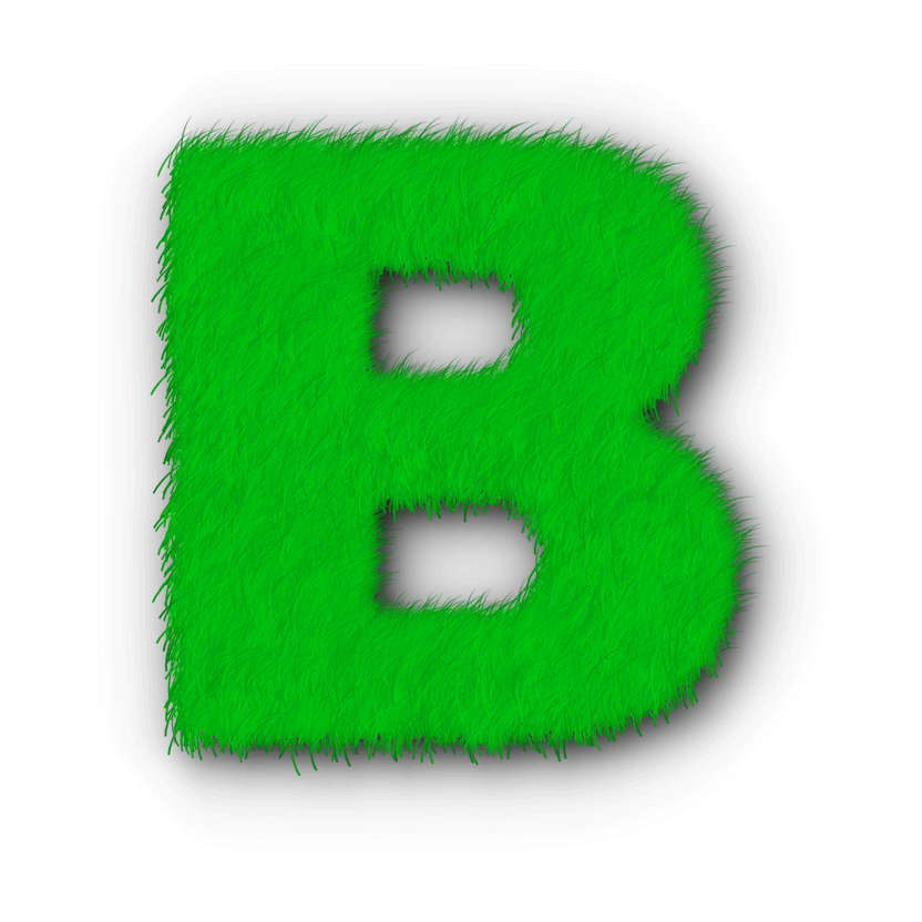 B-image