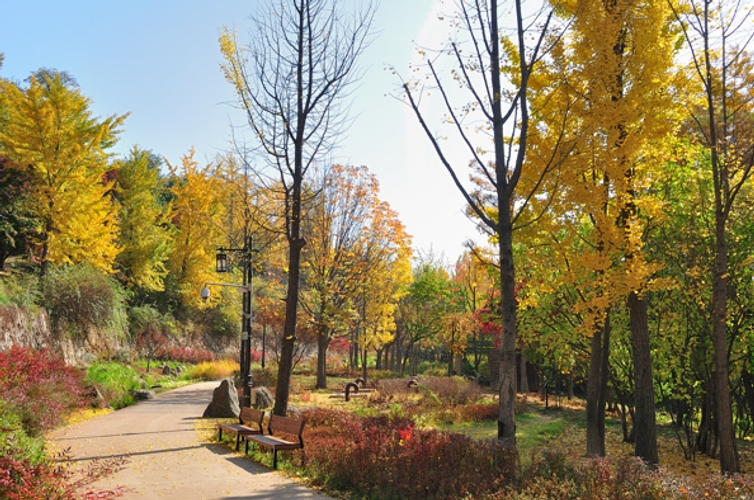 남산-야외-식물원-전경