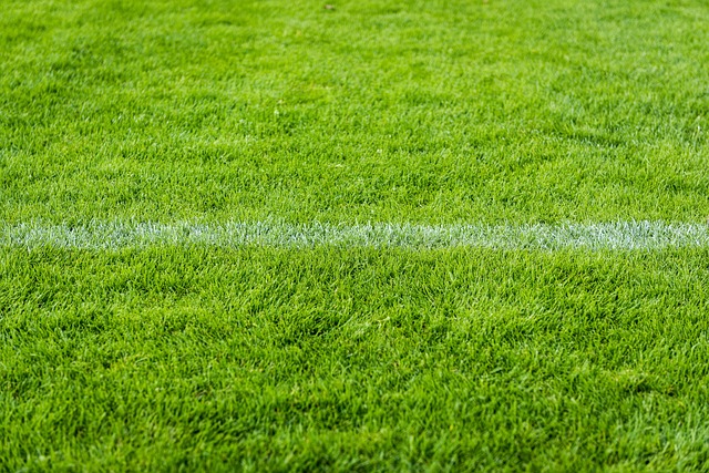 한국 축구대표팀 옌스 카스트로프