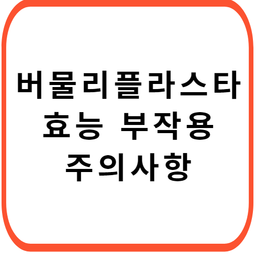 버물리-플라스타-썸네일