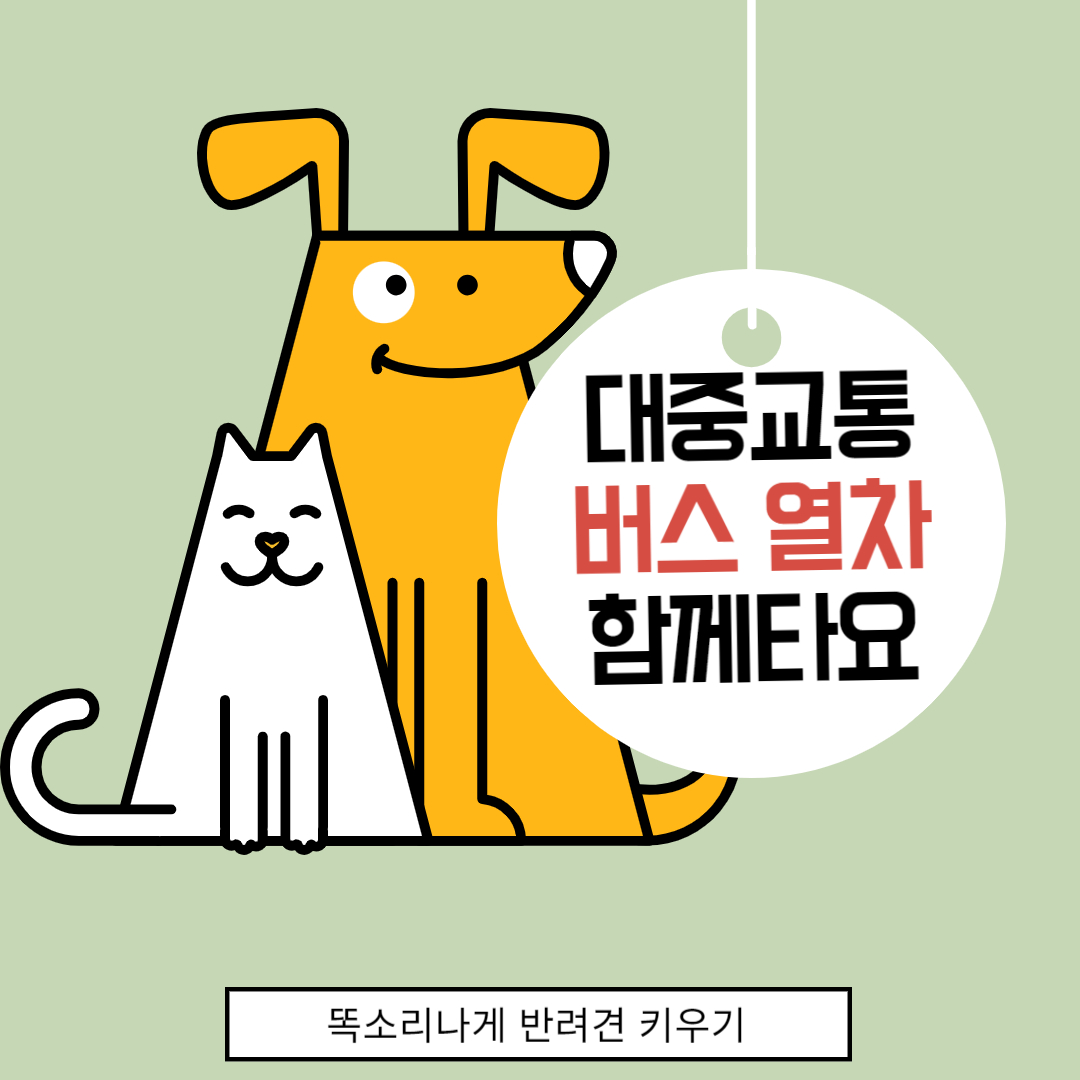 강아지와 대중교통 버스 열차 강아지 함께 동반 탑승