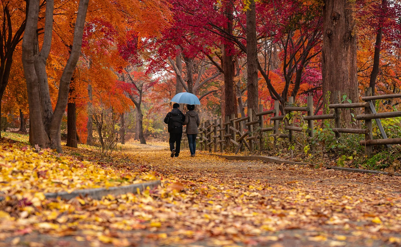 계절성 우울증 극복 (계절, 증상, 완화)에 대한 사진