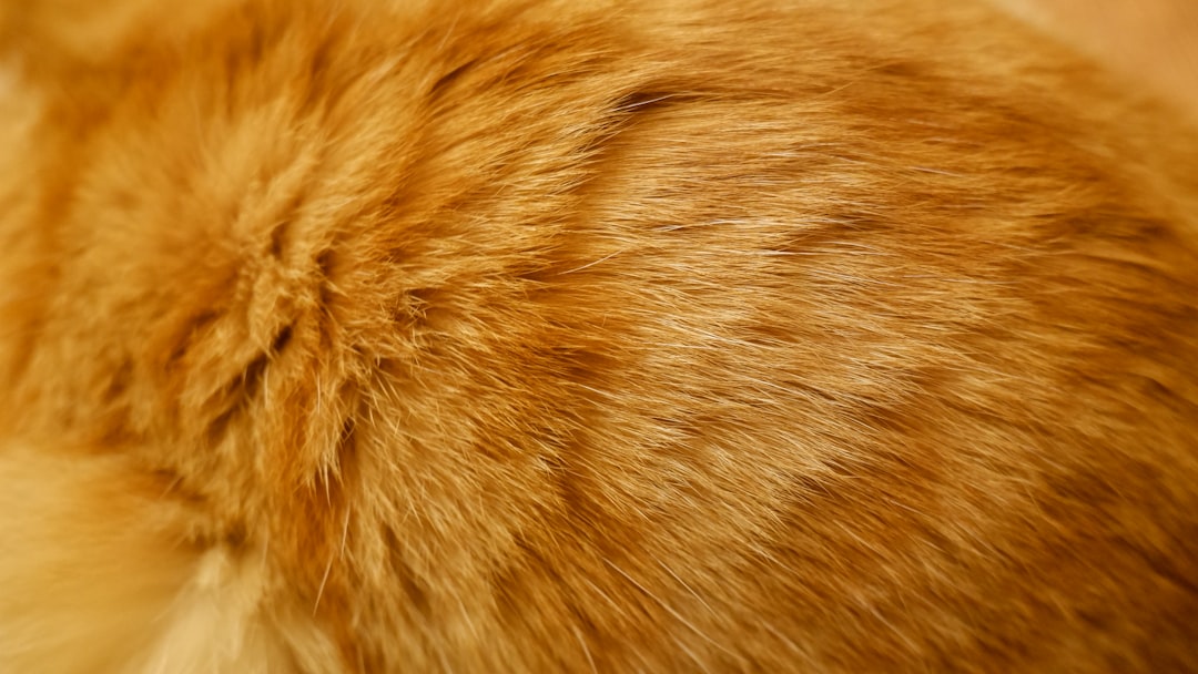 Fur.