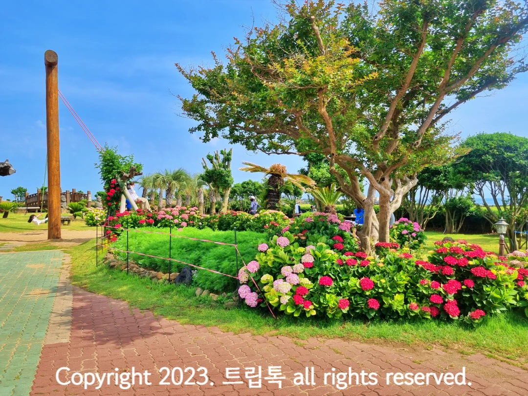 왼쪽에 커다란 나무그네가 있다. 그리고 앞에는 구불한 나무와 분홍생과 붉은색의 동글한 수국이 많이 피어있다