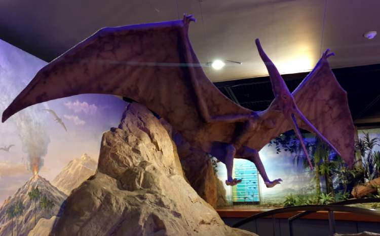 부천 자연생태공원