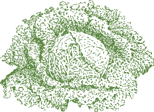 홈플러스 절임배추 사전 예약 기간,가격, 신청방법, 할인 방법