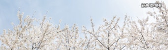 경동보일러 실내온도 조절기