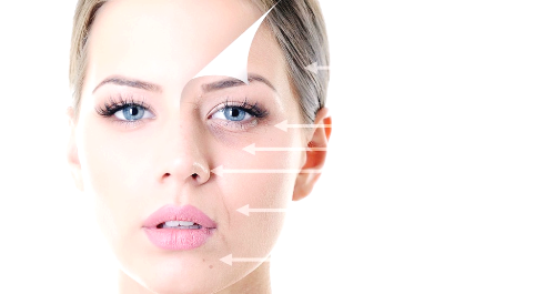 콘드로이친 효능 부작용