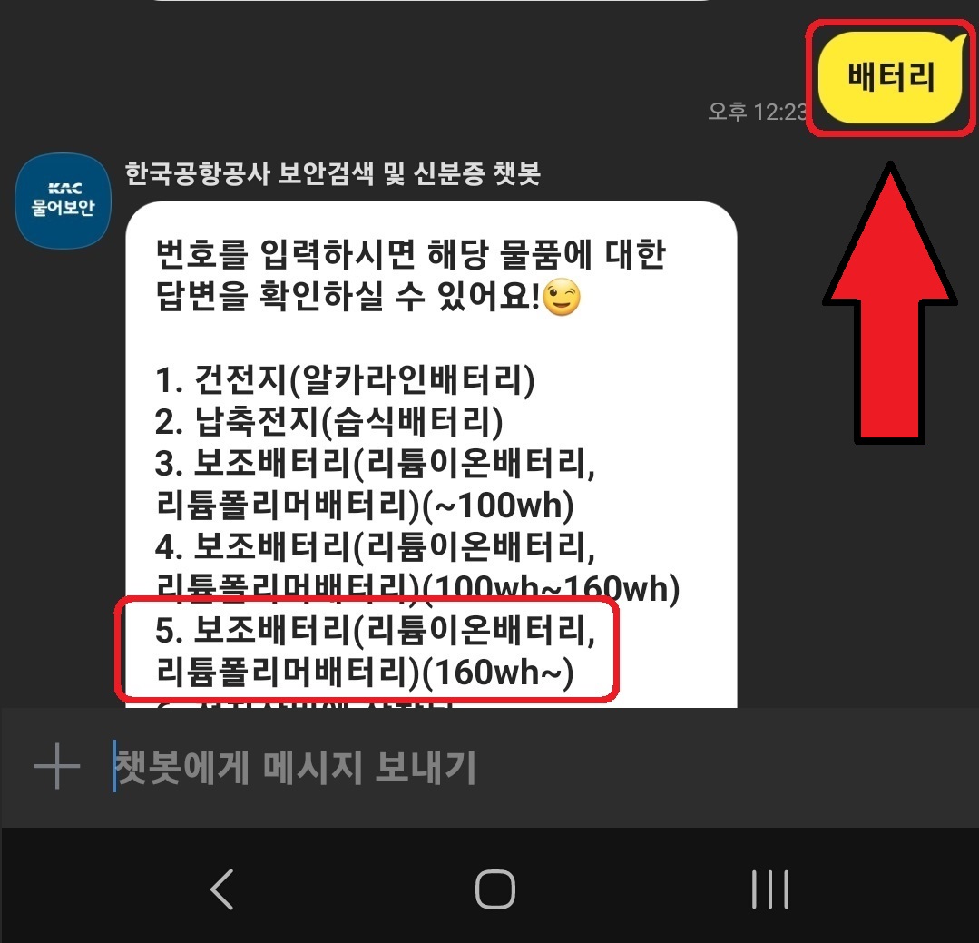 카카오톡으로 비행기 기내 반입 가능 물품을 간단하게 확인하는 방법 7