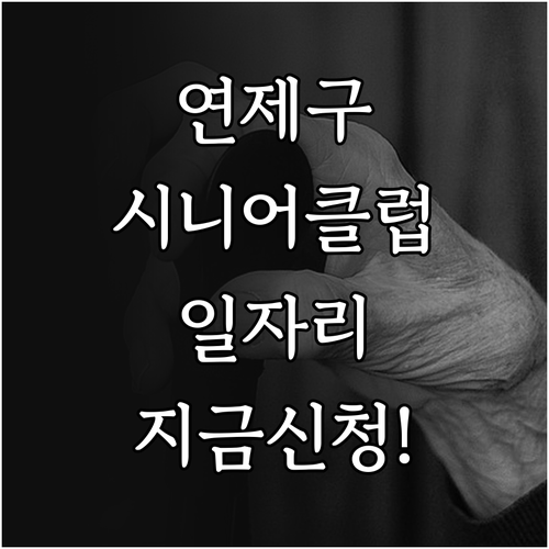 연제구 시니어클럽 시장형 공익활동형 ..
