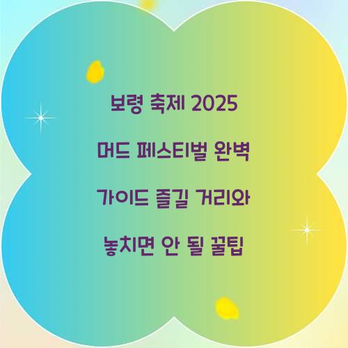 보령 축제 2025 머드 페스티벌
