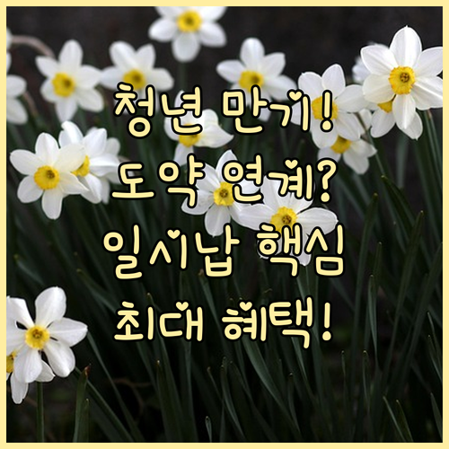 청년희망적금 만기자 청년도약계좌 연계..