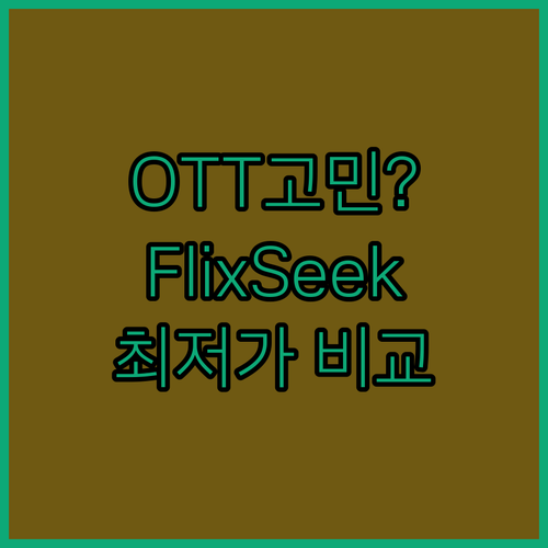 스트리밍 서비스 고민? FlixSee..