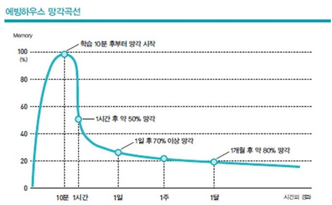 망각에 걸리는 시간 그림