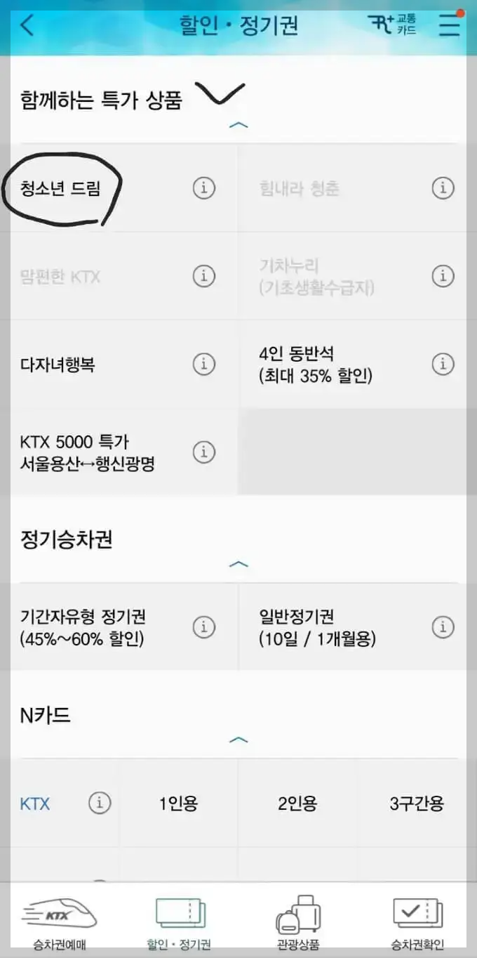 청소년 드림