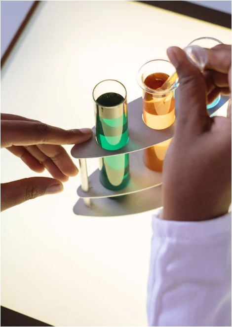 몬탁 프로젝트 _ 진짜 기묘한 이야기?