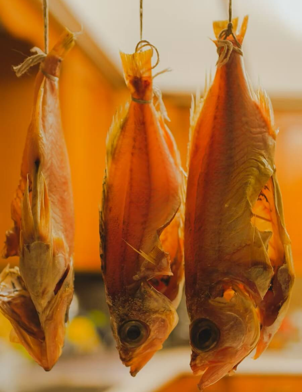 말린 건어물, 말린 채소, 말린 과일의 놀라운 영양학적 가치와 건강 효능 완벽 가이드