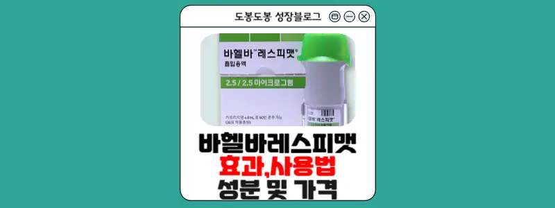 바헬바레스피맷 안내 이미지