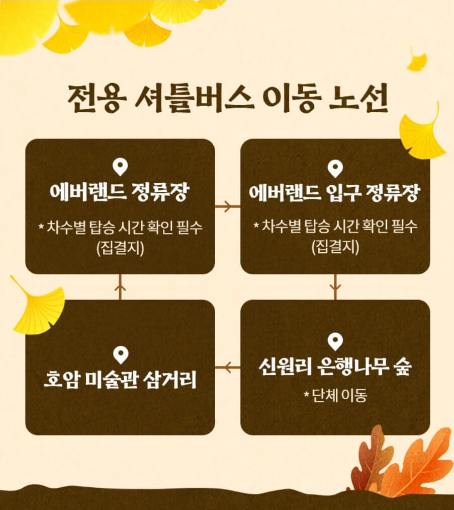에버랜드 은행나무숲 예약 