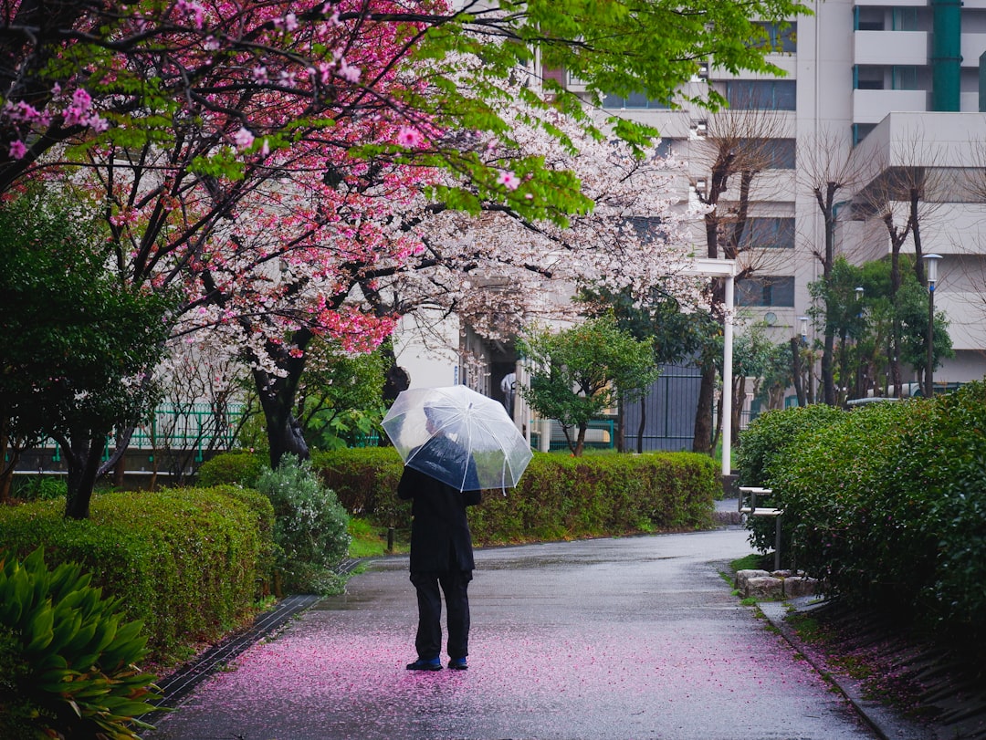 Hanami