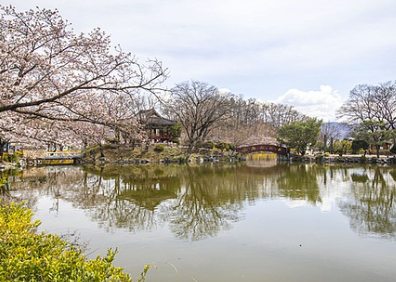 김천 연화지