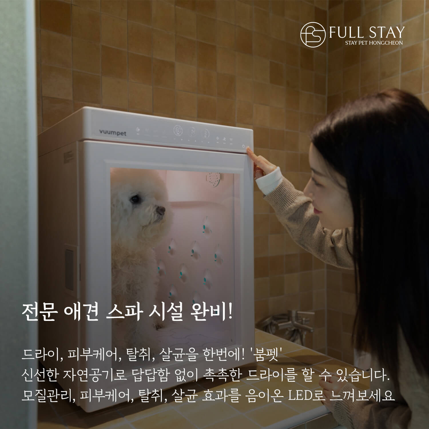 풀스테이