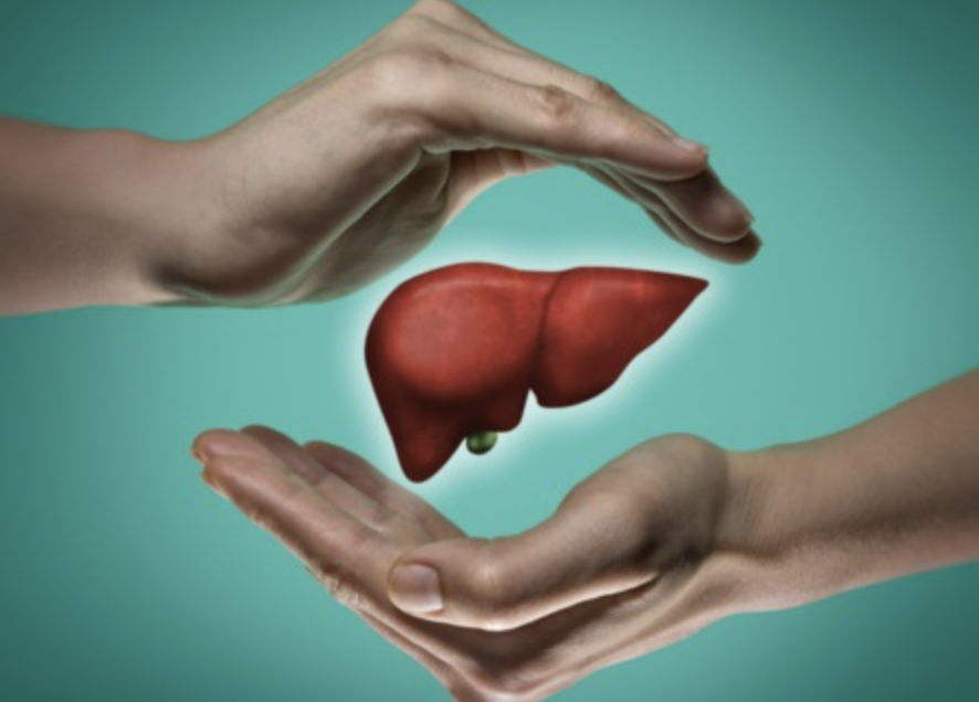 카테킨 효능 부작용 하루 권장량 다이어트 효과