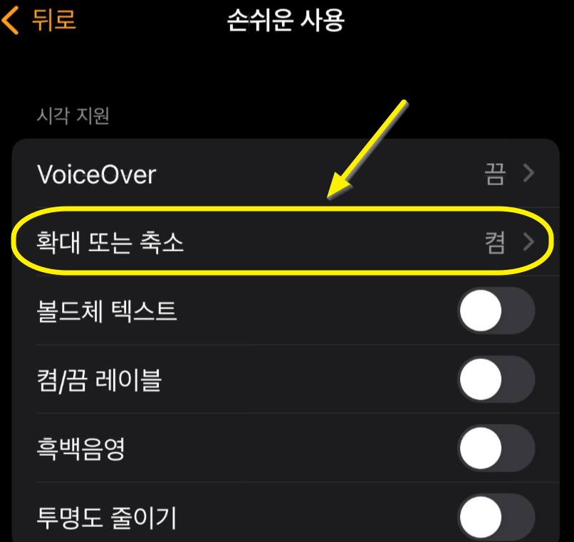 아이폰-워치앱-손쉬운사용-확대또는축소-화면