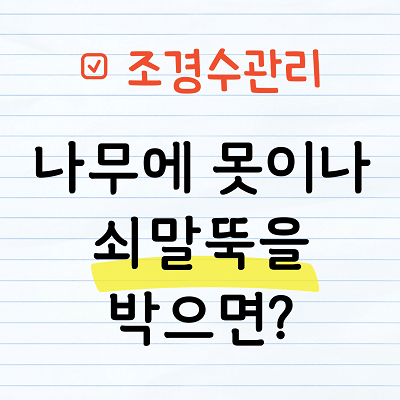 나무에 못이나 쇠말뚝을 박으면