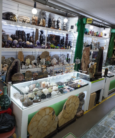 화석 가게 정보