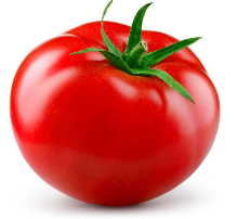 토마토