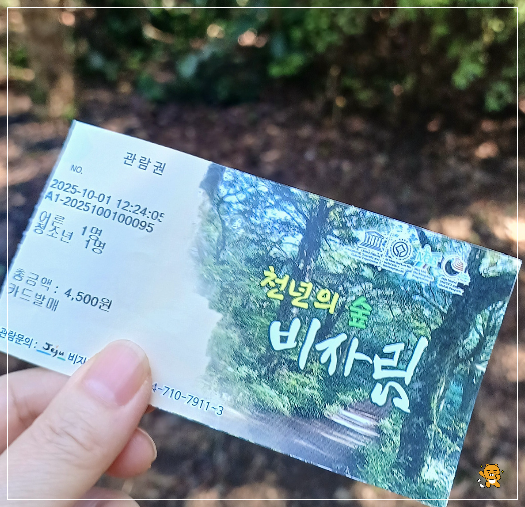 제주-비자림-입장료