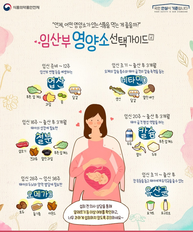임산부 영양소 가이드/ <자료출처=정책브리핑 www.korea.kr>