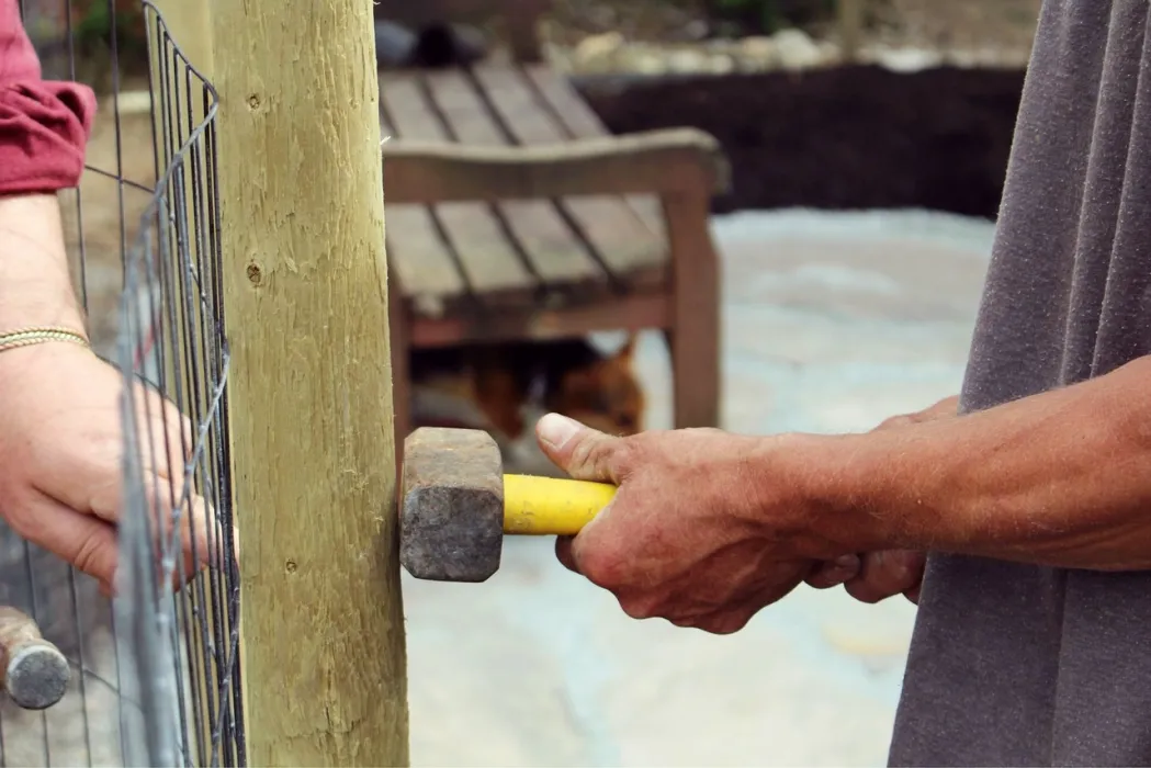 50대-남성-유망-자격증-관련-사진