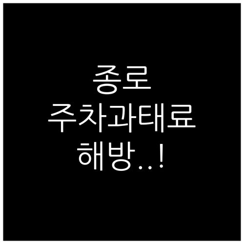 종로구 주정차 단속 문자 알림 서비스..