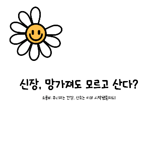 신장에 좋은 음식