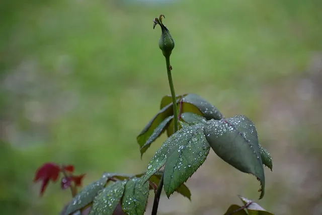 봄비 인사말 이미지 비오는날 일러스트_7