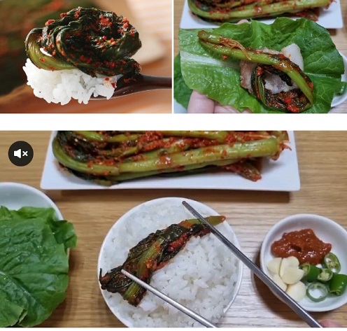 여수갓김치-극한직업