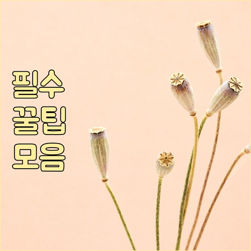 신세계상품권 똑똑하게 쓰자! 사용처,..