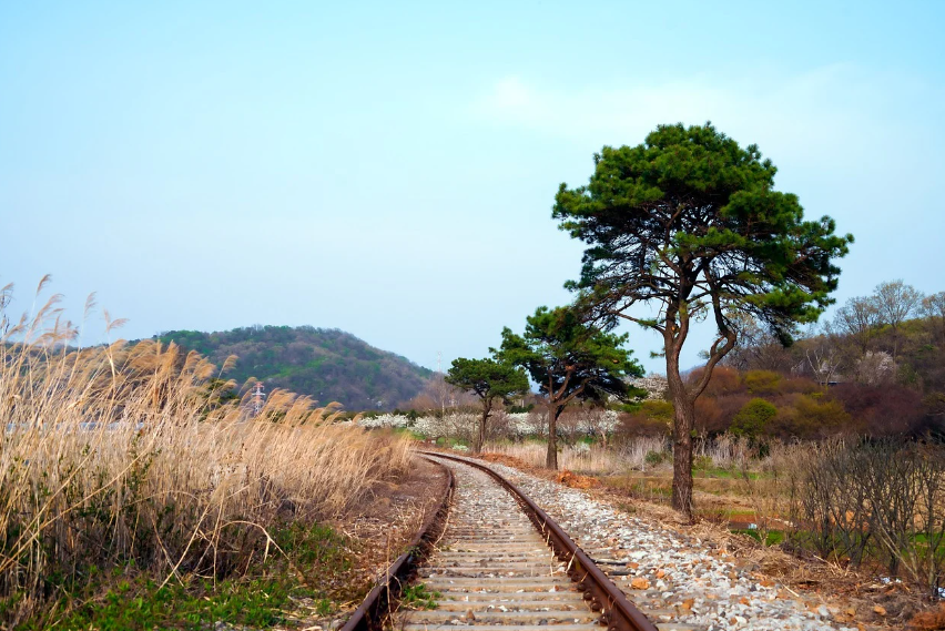 10월 1일 임시공휴일