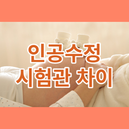 인공수정 시험관 차이