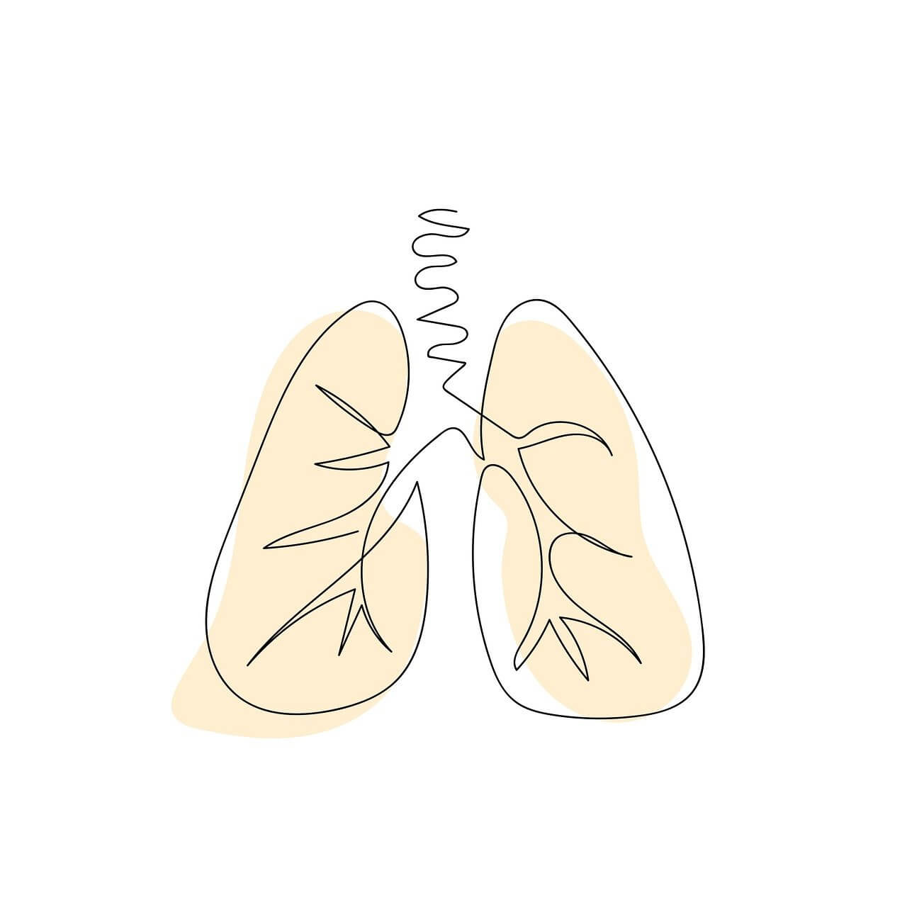 폐에 좋은 영양제