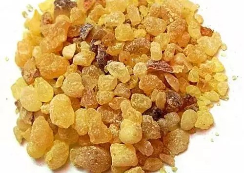 보스웰니아 수액 결정의 사진