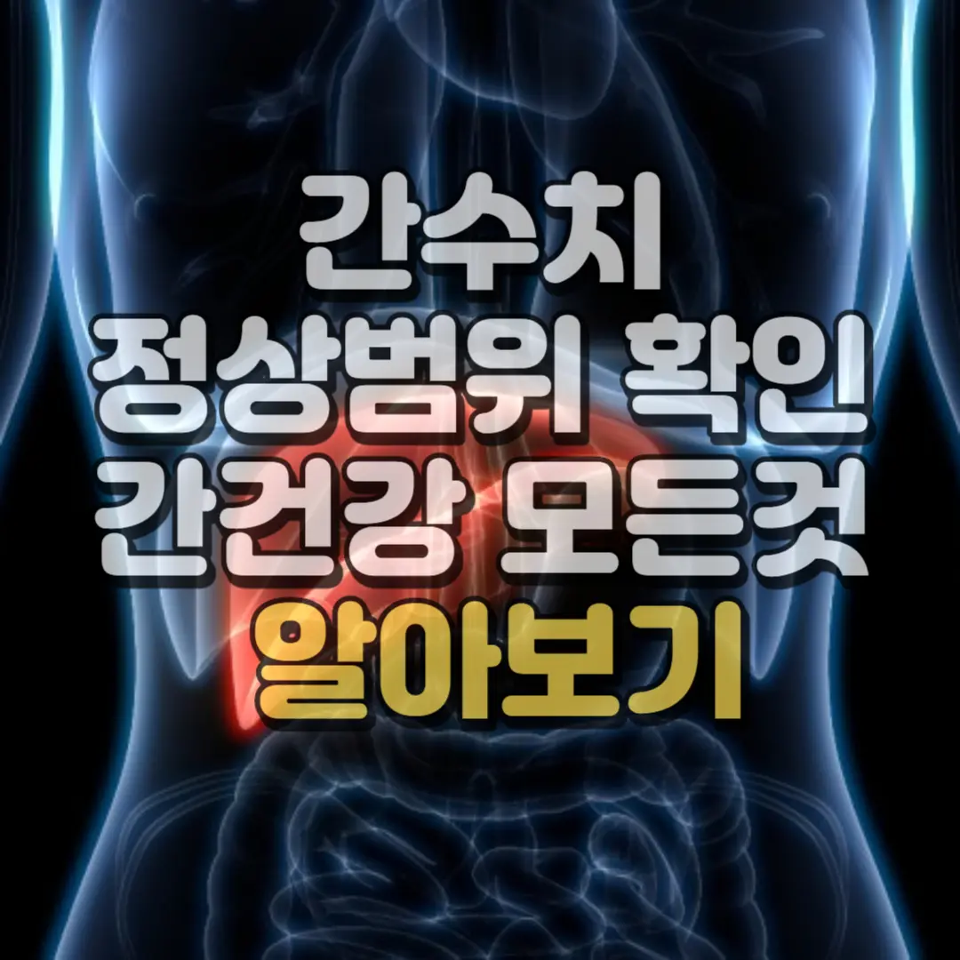 간수치 정상범위 확인 간건강 모든것