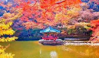 내장산 단풍터널 드라이브 코스 주차장 위치까지 총정리_17